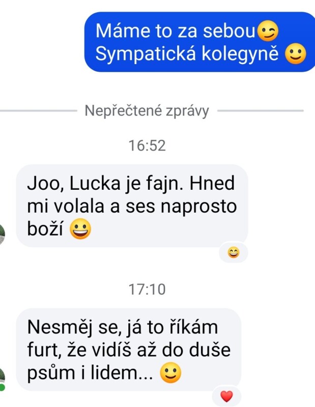 zpětná vazba